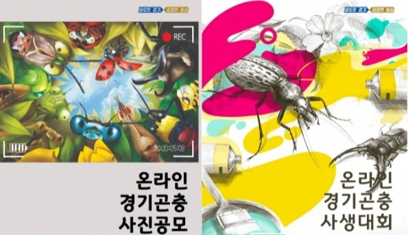 도농기원, ‘온라인 경기곤충사생대회·경기곤충사진 공모전’ 개최