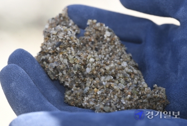 어린 바지락 방류 경기도 해양수산자원연구소 관계자들이 5일 오전 시흥시 오이도 갯벌에서 바지락 어린조개(치패)를 방류하고 있다. 연구소는 올해부터 ‘풍요로운 경기바다 만들기’를 위해 주꾸미, 바지락 등의 유용수산종자 자원조성 사업을 시작했다.  조주현기자