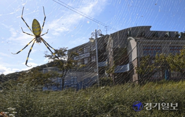 지난 2009년에 폐교된 양평 양동초등학교 단석분교장이 황량한 모습으로 현재까지 방치되고 있다. 김시범기자<br>