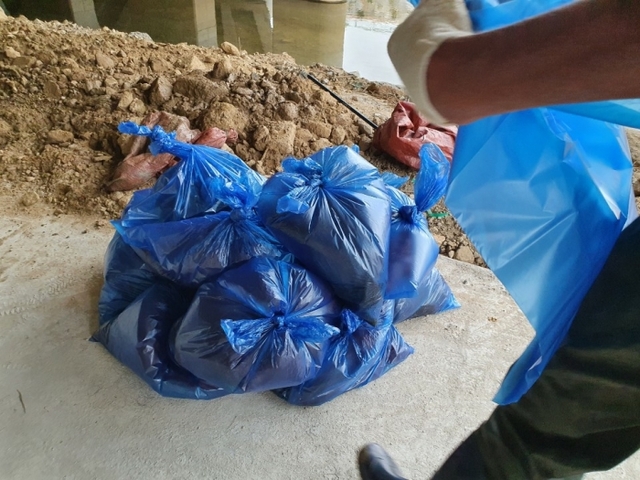 김포시 등 관계당국이 김포시 나진포천 일대에서 폐사된 물고기 수거 작업을 벌이고 있는 모습. 김포시 제공