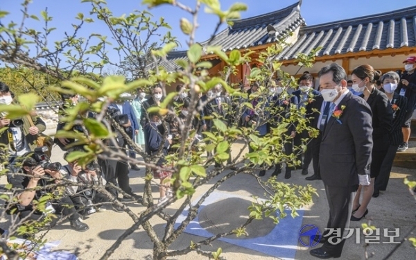 정세균 국무총리가 한글날인 9일 오후 경기도 여주시 능서면 세종대왕릉에서 열린 '세종대왕릉 제 모습 찾기 준공식'에서 식수할 살구나무를 바라보고 있다.조주현기자