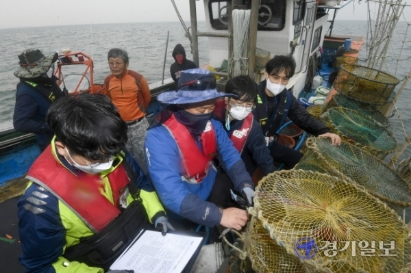 21일 오전 경기만 일대에서 경기도와 화성시 어업감독공무원들이 불법어업 행위를 단속하고 있다.조주현기자