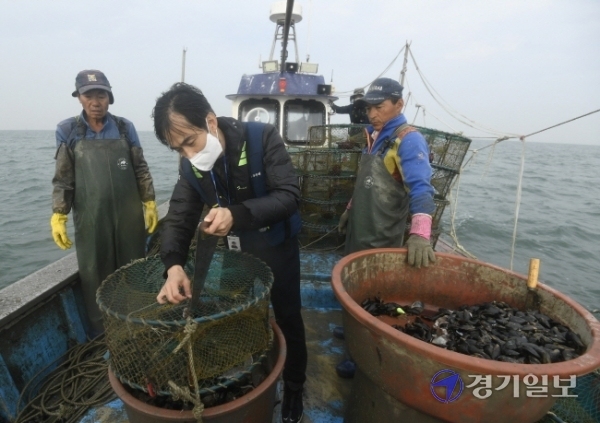 21일 오전 경기만 일대에서 경기도와 화성시 어업감독공무원들이 불법어업 행위를 단속하고 있다.조주현기자