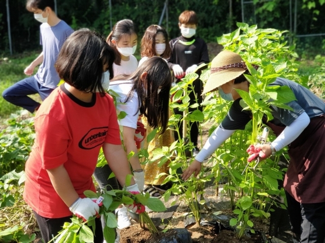 ▲ 광주시, 학교 치유텃밭 큰 인기 (3)