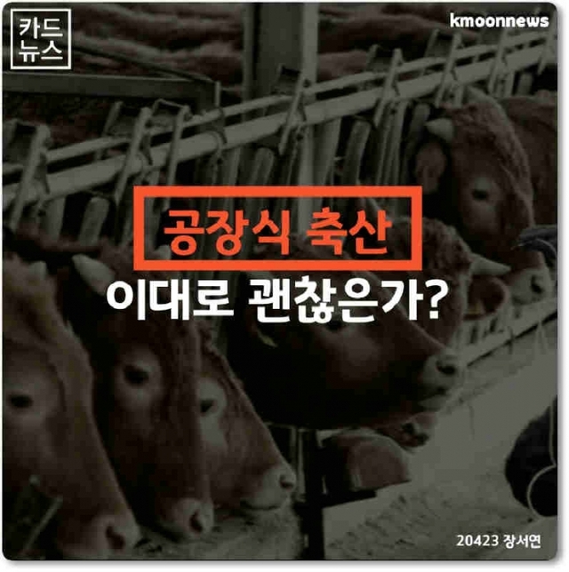 ▲ 2학년 장서연 학생 作 ‘공장식 축산 이대로 괜찮은가’