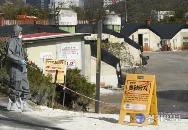 용인시에서 H5N8형 고병원성 조류인플루엔자(AI) 바이러스가 검출된 가운데 29일 오후 용인시 백암면 청미천 인근 양계농가에서 용인축산농협 관계자가 차량 출입을 통제하고 있다. 조주현기자