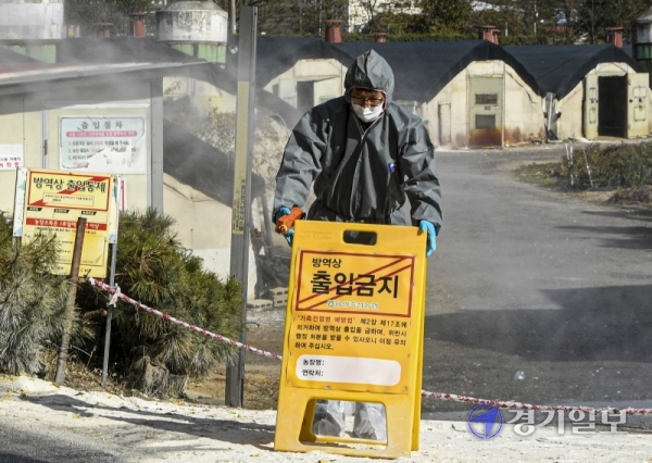 용인시에서 H5N8형 고병원성 조류인플루엔자(AI) 바이러스가 검출된 가운데 29일 오후 용인시 백암면 청미천 인근 양계농가에서 용인축산농협 관계자가 차량 출입을 통제하고 있다. 조주현기자