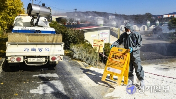 용인시에서 H5N8형 고병원성 조류인플루엔자(AI) 바이러스가 검출된 가운데 29일 오후 용인시 백암면 청미천 인근 양계농가에서 용인축산농협 관계자가 차량 출입을 통제하고 있다. 조주현기자