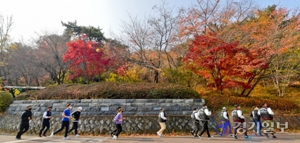 제18회 경기마라톤 언택트레이스 1일차가 열린 13일 오후 수원시 팔달산코스에서 대회 참가자들이 힘차게 달리고 있다. 이번 대회는 코로나19로 13일부터 15일까지 안내코스 포함 전국 자유코스로 참여하는 대회이다. 윤원규 기자