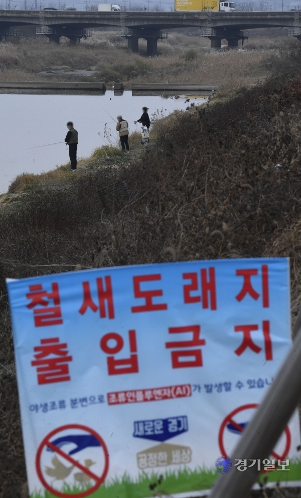 환경부와 농림축산식품부가 이천시 복하천에서 채취한 야생조류 포획 시료에서 H5N8형 고병원성 조류인플루엔자(AI)가 확진됐다고 밝힌 14일 오후 이천시 복하천 철새도래지 출입금지 구역에서 낚시꾼들이 낚시를 하고 있다. 조주현기자
