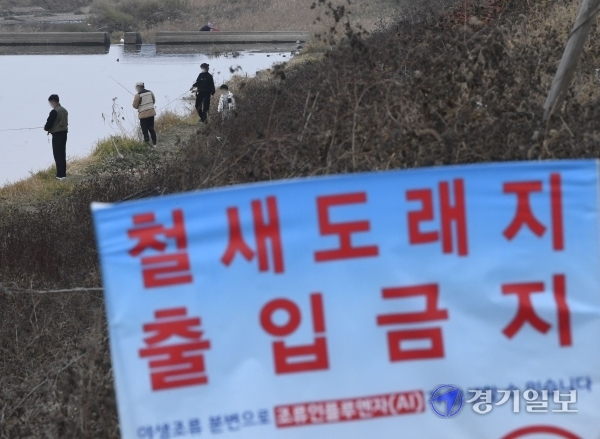 환경부와 농림축산식품부가 이천시 복하천에서 채취한 야생조류 포획 시료에서 H5N8형 고병원성 조류인플루엔자(AI)가 확진됐다고 밝힌 14일 오후 이천시 복하천 철새도래지 출입금지 구역에서 낚시꾼들이 낚시를 하고 있다. 조주현기자