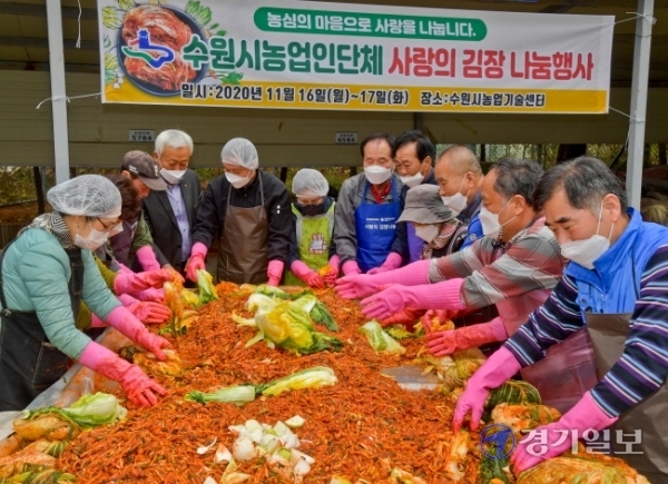 17일 오전 수원시농업기술센터에서 열린 '수원시농업인단체 사랑의 김장나눔 행사'에서 수원시 농업인들이 불우이웃을 위해 김장을 담그고 있다. 이번 행사는 농업인들이 직접 재배한 배추, 무 등 생산물로 이뤄졌다. 윤원규기자