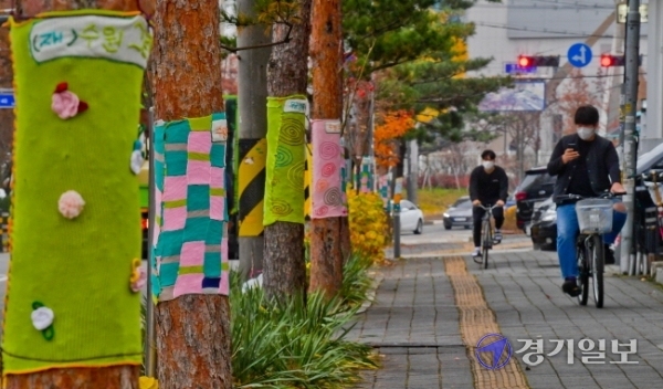 18일 오전 수원시 장안구 송죽초등학교 앞 도로에서 수원시 가로수정원사봉사단 등 관계자들이 가로수에 털실로 만든 겨울옷을 입혀주고 있다. 윤원규기자