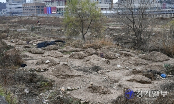 지난 여름 집중호우 때 고양시 창릉천 일대에 쓸려왔던 토사물과 쓰레기 등이 24일 오후 천변 곳곳에 쌓인 채 방치돼 있다. 김시범기자