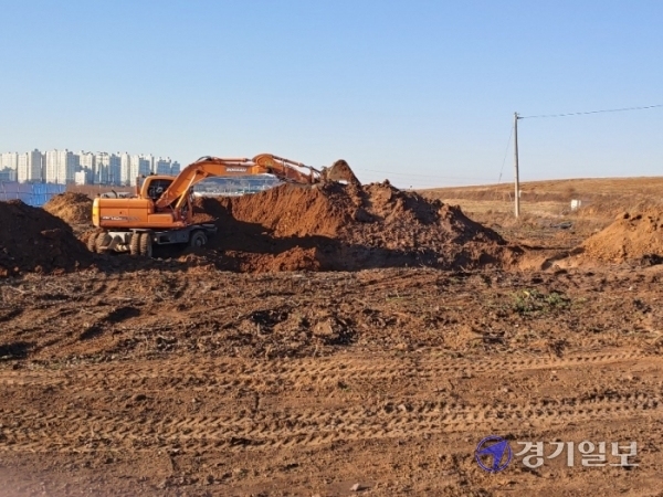 평택시 죽백동 배농가에서 과수화상병에 걸린 배나무를 땅에 묻고 있다. 박명호기자
