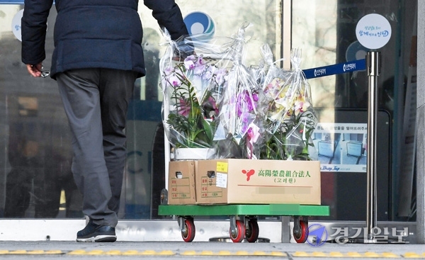 17일 오전 인천시청 중앙현관으로 꽃배달 업소 관계자가 축하 난 을 가지고 들어가고 있다. 인천시는 지난 11일 인사위원회를 열어 275명에 대한 2021년도 상반기 승진 인사를 의결했다. 장용준기자