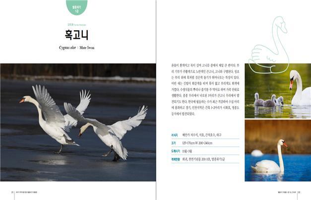▲ 한강청, 멸종위기 야생동물 생태도감 내지