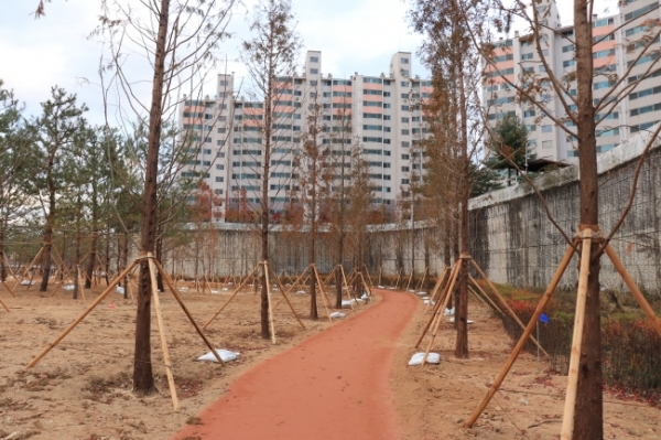 201230_경안천 도시숲 2만 2206㎥ 1단계 조성 완료_사진(2) 산책로