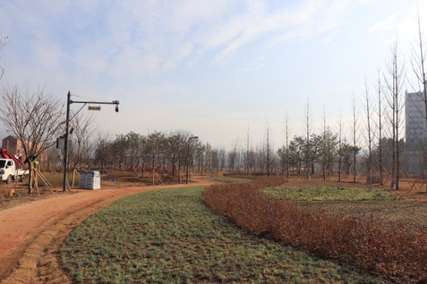 201230_경안천 도시숲 2만 2206㎥ 1단계 조성 완료_사진(3) 초화원
