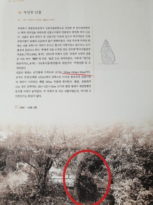▲ 경기도고인돌 보고서에 기록된 녹양동 선돌과 사진