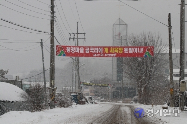 양평군 용문면 금곡리 주민들이 인근에 들어선 개ㆍ고양이 사육장 허가 취소를 요구하고 있다. 사진은 마을 입구에 걸린 개ㆍ고양이 사육장 반대 현수막. 장세원기자