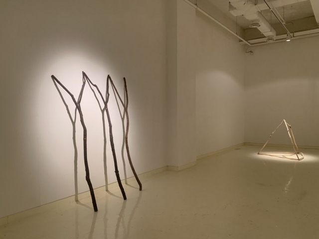 ▲ 세 개의 Y_Wood_152x60x218cm_2020