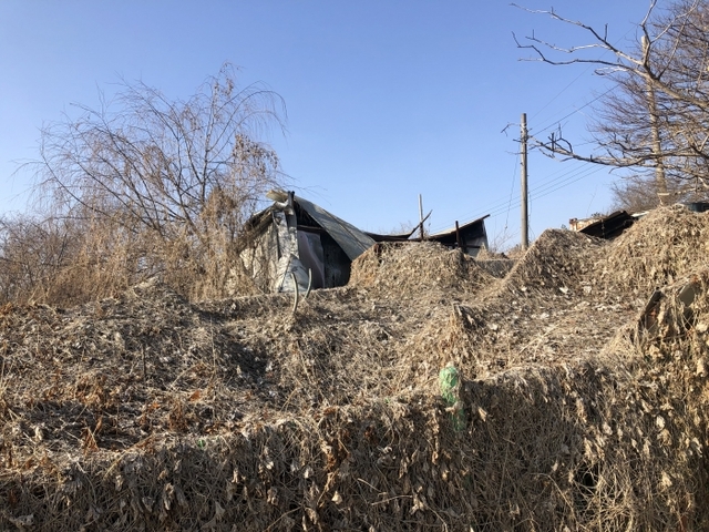 ▲ 국유지 폐기물2