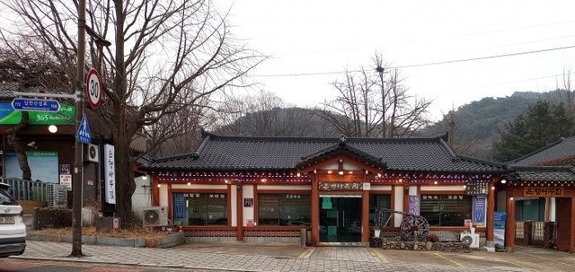 ▲ 은행나무 사본