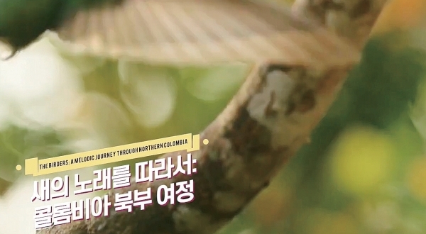 2020 KF 세계영화주간 ‘새의 노래를 따라서’
