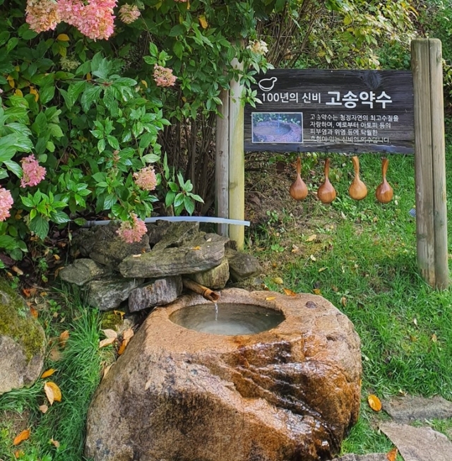 ▲ 100년의 신비 고송약수.