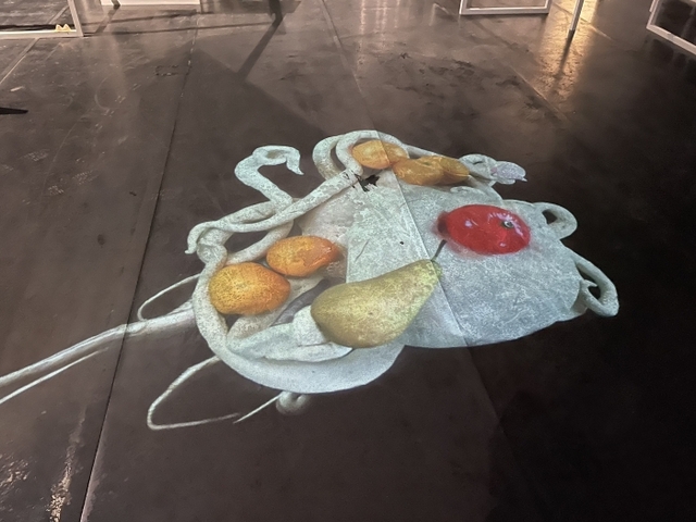 ▲ 로레 프로보, 요나스 스탈, _모호한 연합_, 2019