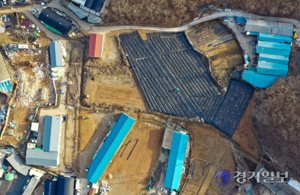 한국토지주택공사(LH) 일부 임직원들의 광명·시흥 신도시 예정부지 투기 의혹이 일파만파로 확산되고 있다. 3일 오후  일부 LH 직원들이 신도시 지정 이전에 매입한 시흥시 과림동 농지에 묘목들이 잔뜩 심어져 있다. 조주현기자