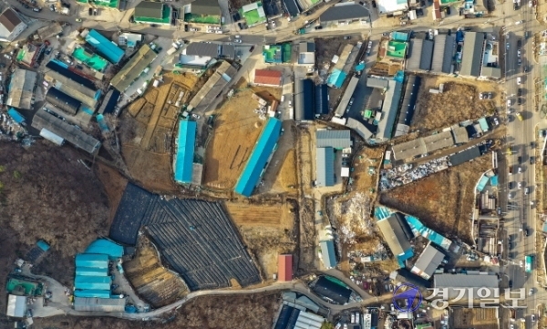 한국토지주택공사(LH) 일부 임직원들의 광명·시흥 신도시 예정부지 투기 의혹이 일파만파로 확산되고 있다. 3일 오후  일부 LH 직원들이 신도시 지정 이전에 매입한 시흥시 과림동 농지에 묘목들이 잔뜩 심어져 있다. 조주현기자