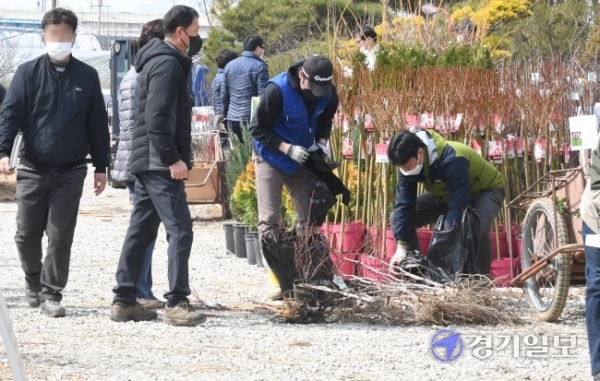 9일 오전 개장한 인천 남동구 인천산림조합 나무시장에서 때맞춰 찾아온 시민들이 묘목을 사가고 있다. 산림조합 나무시장은 조합원이 재배한 좋은 품질의 나무를 직접 판매해 시중의 나무 시장보다 10∼30％ 정도 저렴하게 구매 할수 있다. 장용준기자