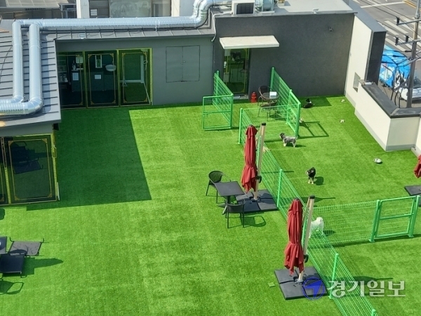 안양시 동안구 관양동에 위치한 애견센터 옥상. 이곳에서 울리는 개 짓는 소리로 인근 주민들이 고통을 호소하고 있다. 노성우기자