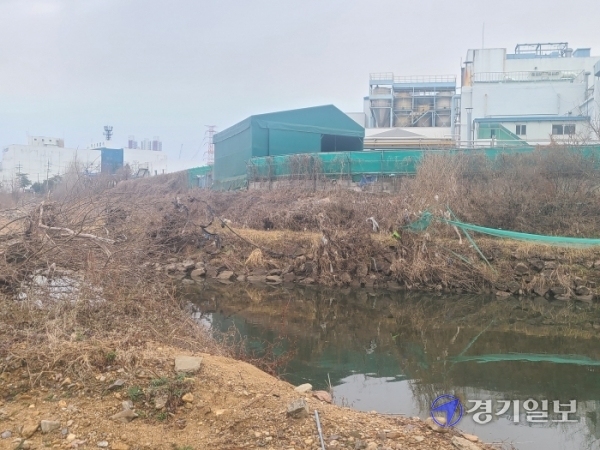 용인시 기흥구 신갈천 주변으로 풀숲이 우거진 탓에 주민들이 지나갈 수 없다. 김현수기자