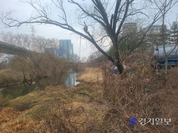 용인시 기흥구 신갈천 주변 쓰레기들이 버려져 도시미관을 해치고 있다. 김현수기자