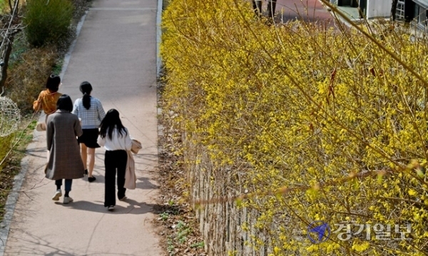 낮기온 20도 안팎의 완연한 봄날씨를 보인 19일 수원시 광교카페거리에서 시민들이 즐거운 한때를 보내고 있다. 윤원규기자