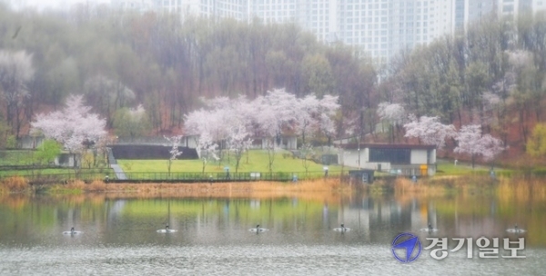 전국에 봄비가 내린 3일 오후 화성 동탄호수공원을 찾은 시민들이 수채화 같은 풍경의 호수를 거닐고 있다. 윤원규기자