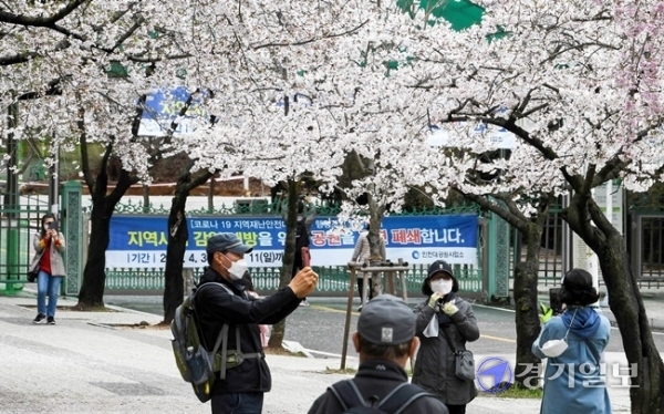 휴일인 4일 벚꽃이 만개한 인천대공원을 찾은 나들이객들이 아쉬운듯 코로나 19 예방을 위한 전면 폐쇄 현수막이 내걸린 후문 너머로 사진을 찍고 있다. 인천시는 시민들의 안전을 위해 벚꽃 개화기인 지난 3일부터 오는 11일까지 인천대공원과 월미공원, 자유공원, 수봉공원을 일시 폐쇄했다. 장용준기자