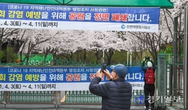 휴일인 4일 벚꽃이 만개한 인천대공원을 찾은 나들이객들이 아쉬운듯 코로나 19 예방을 위한 전면 폐쇄 현수막이 내걸린 후문 너머로 사진을 찍고 있다. 인천시는 시민들의 안전을 위해 벚꽃 개화기인 지난 3일부터 오는 11일까지 인천대공원과 월미공원, 자유공원, 수봉공원을 일시 폐쇄했다. 장용준기자
