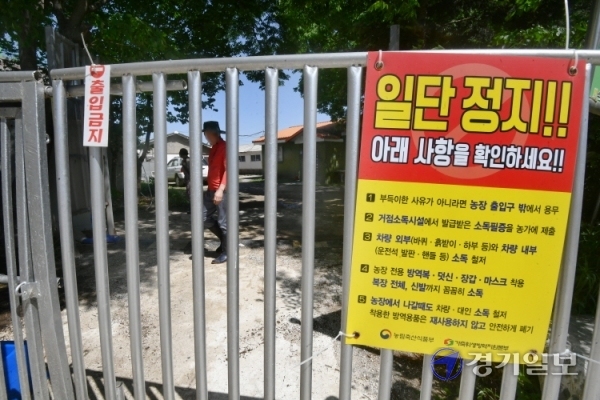 강원도 영월에서 아프리카돼지열병(ASF)이 확진되면서 5일 오전 11시부터 48시간 동안 경기·강원·충북 지역의 모든 돼지농장, 도축장 등 축산시설과 축산차량에 대해 이동중지 명령이 발령됐다. 이날 오전 화성시 양감면 한 돼지농장에서 주인이 출입문을 잠근 채 출입을 통제하고 있다. 김시범기자
