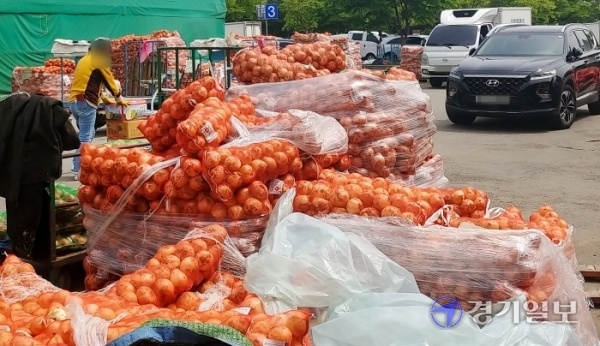6일 인천 부평구 삼산농산물시장 주차장 곳곳에 물류창고 부족을 말해주듯 양파더미가 쌓여 있다. 조윤진기자