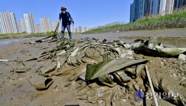 9일 오전 물이 빠진 안산시 시화호 상류 갈대습지공원 주변 공유수면에 폐비닐과 플라스틱 등 각종 폐기물이 버려져 있다. 윤원규기자