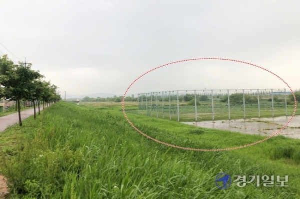 평택 군문교 인근 안성천 하천 부지에 설치된 야구장 비구 방지 펜스(빨간 점선원)가 하천 제방 붕괴의 위험 요인으로 꼽히고 있다. 정정화기자