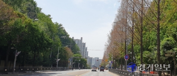 의왕시 오전동 모락로 가로수 잎들이 누렇게 변하는 갈변현상을 보이고 있어 의왕시가 대책 마련에 나섰다. 임진흥기자