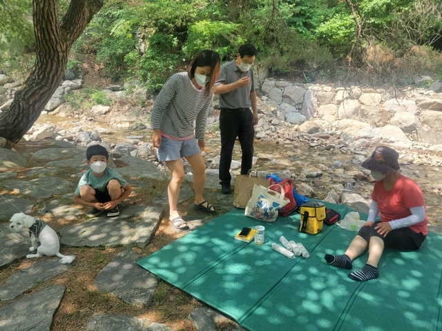 ▲ 피서객들이 나무 그늘아래에 자리를 잡고 더위를 식히고 있다.