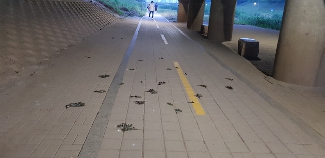 ▲ 안산3