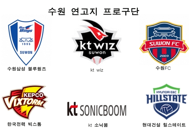 사계절 내내 수원에서 프로스포츠 직관! 6