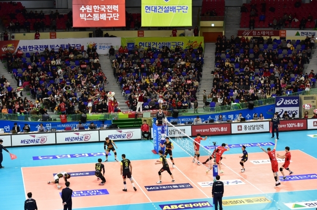 사계절 내내 수원에서 프로스포츠 직관! 4
